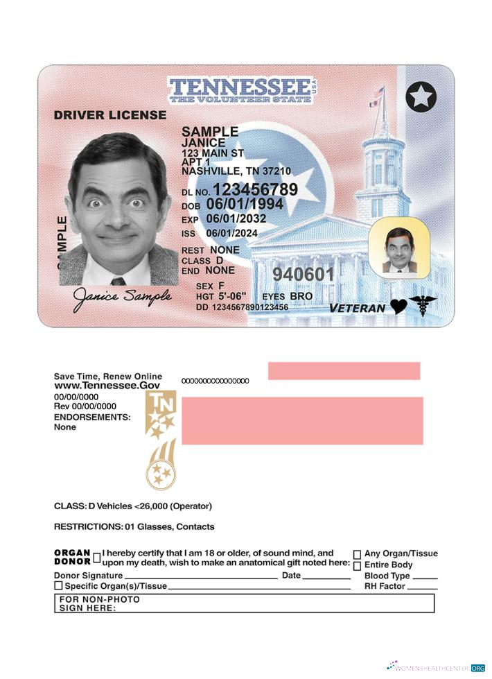 download USA Tennessee driving license 2024 present